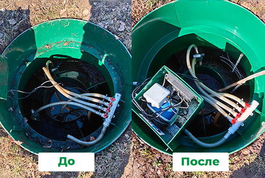 Итал Био 5 До и после